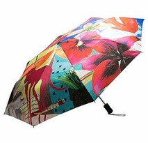 umbrellas, toothbrush, coin purse, glasses case